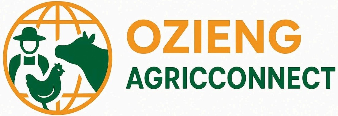 ozeing logo